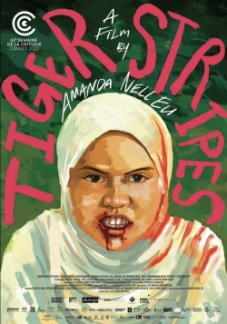 Фильм Тигриные полосы (2023) бесплатно