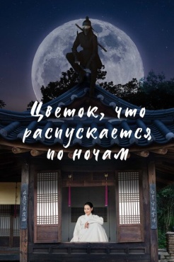 Сериал Дорама «Ночной цветок» (2024) бесплатно